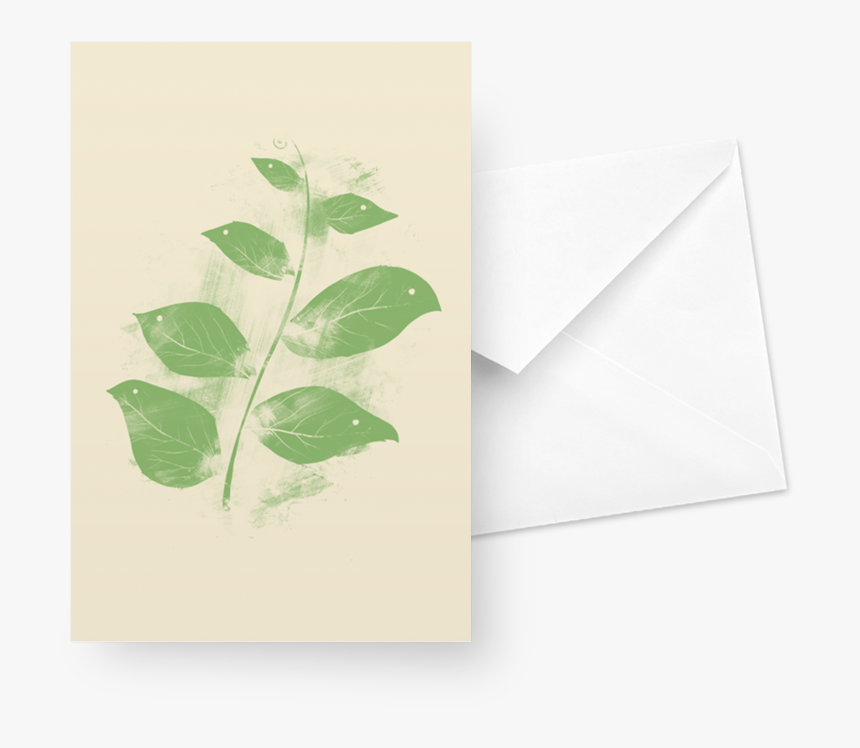 Planalto Hermit, HD Png Download