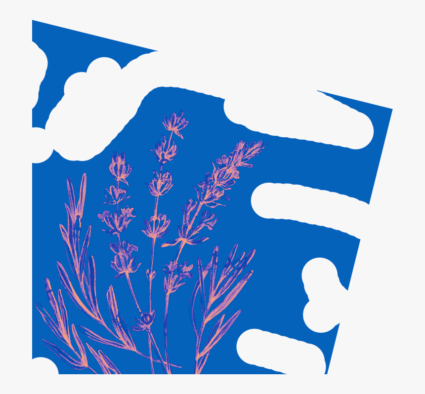 Clip Art, HD Png Download
