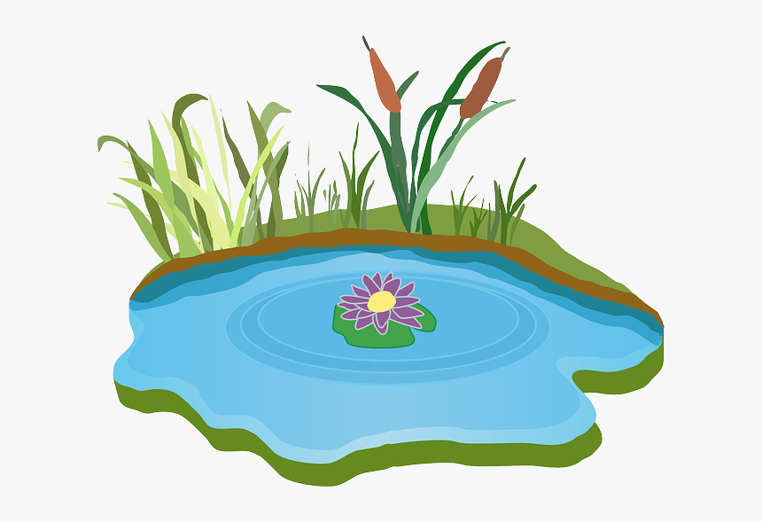 Water Clipart Pond - Lake Clipart, HD Png Download