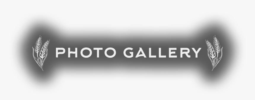 Monochrome, HD Png Download