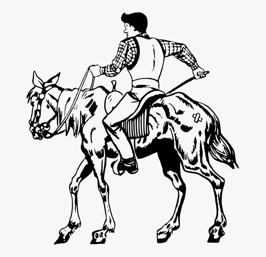 English Riding,horse Tack,headgear - Horse, HD Png Download