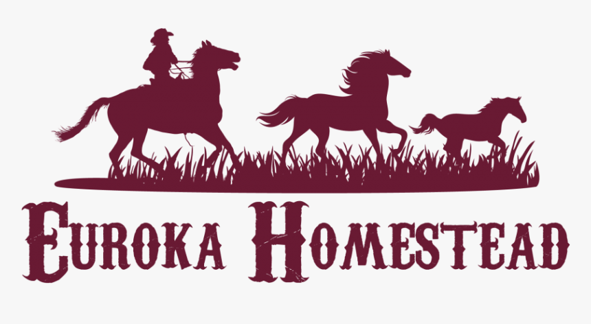 Horse Riding And Agistment In The Blue Mountains - Stallion, HD Png Download