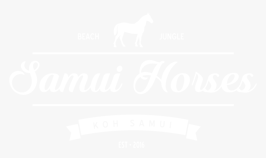 Stallion, HD Png Download