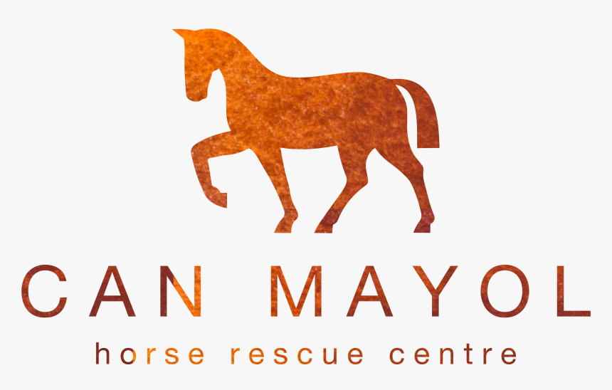 Horse Riding Icon Png, Transparent Png