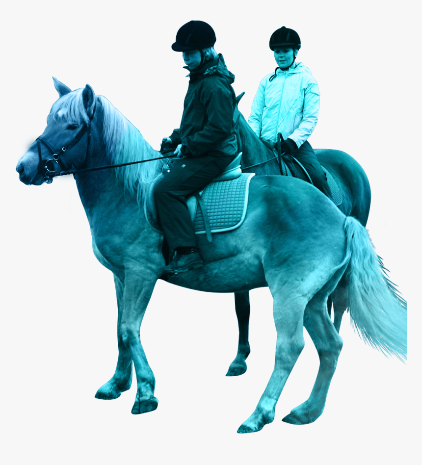 Polar Lights Tours - Stallion, HD Png Download