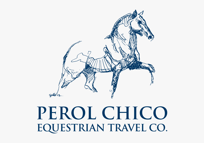 Horseback Riding Vacations And Riding Tours In Peru - Puerto Rico Association Of Realtors, HD Png Download