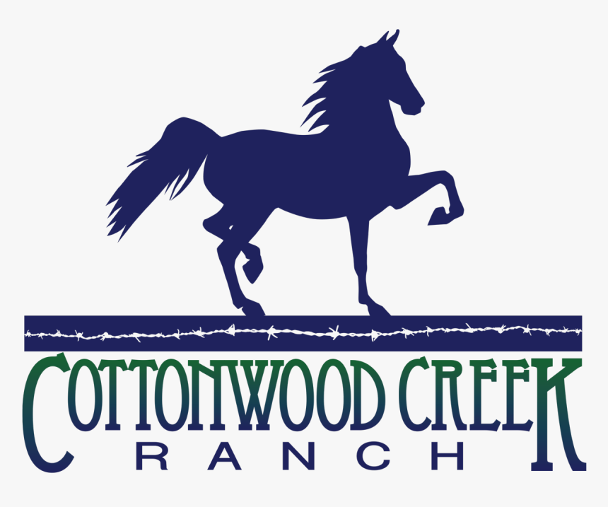 Stallion, HD Png Download