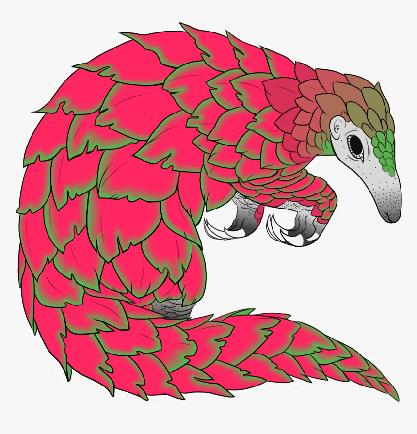 Pangolin Clipart Transparent, HD Png Download