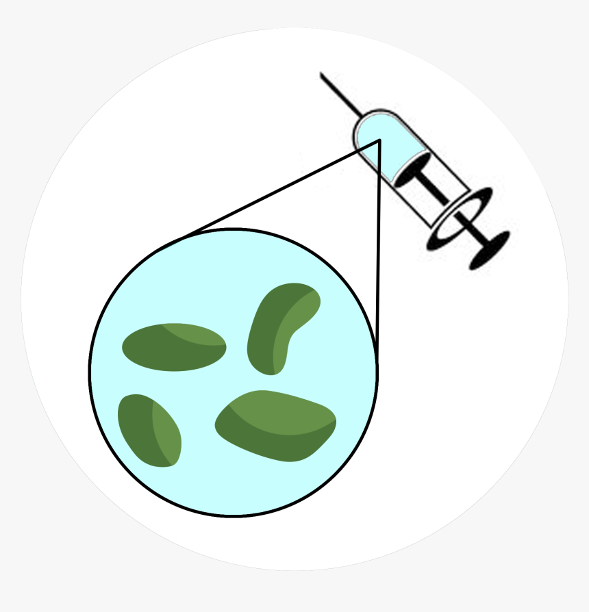 I Took A Look At Your Blood Test Results Of Last Week - Circle, HD Png Download