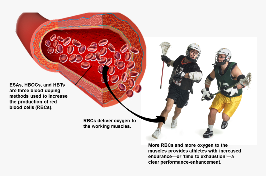 Sports Blood Test, HD Png Download