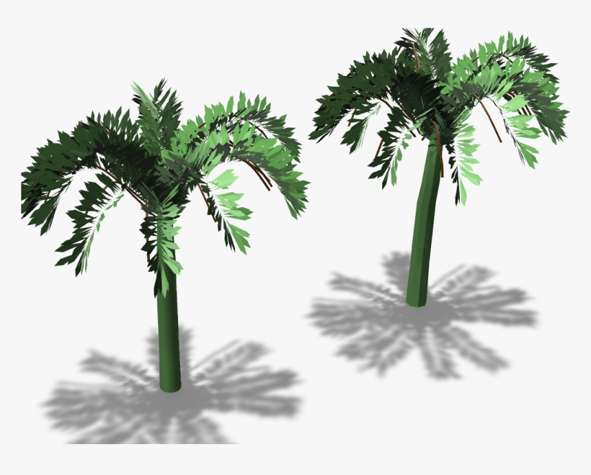 Transparent 3d Palm Tree Png - Palm Tree 3d Design, Png Download