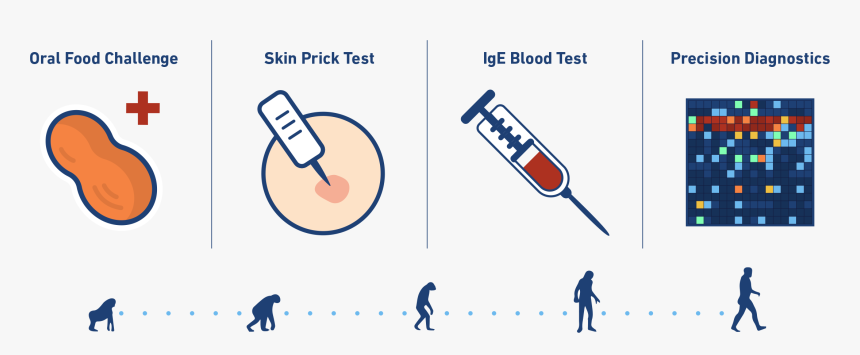 Clip Art, HD Png Download