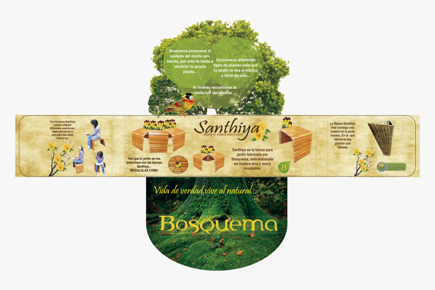 Transparent Plantas Png - Tree, Png Download