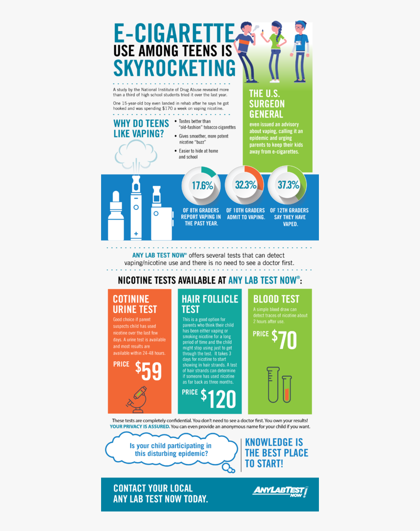 Flyer, HD Png Download