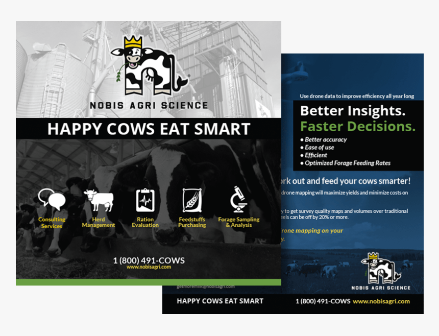 Banner, HD Png Download