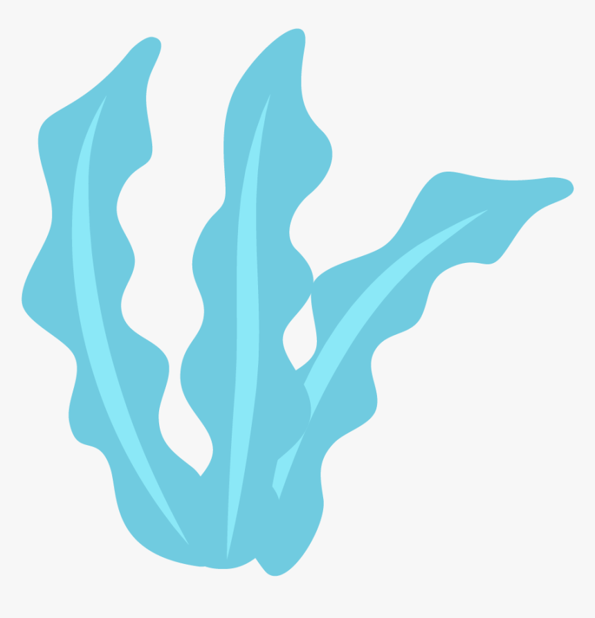 Marine Life Clip Art - Sea Life Vector, HD Png Download