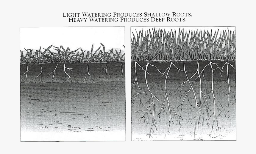 Monochrome, HD Png Download