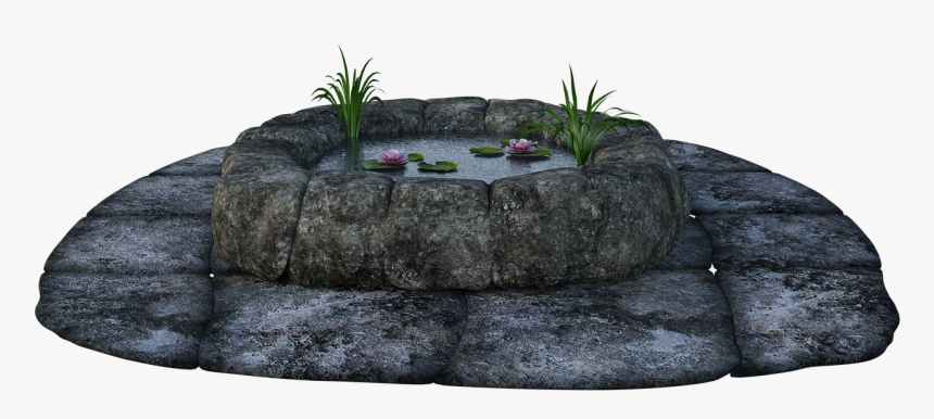 Stone, Pond, Grass, Water, Lily Pads, Fish, Wishing - Outcrop, HD Png Download