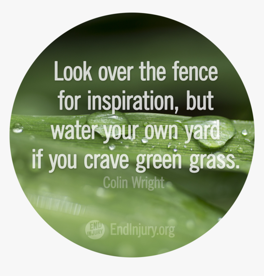 Water Own Yard Colin Wright Photo, HD Png Download