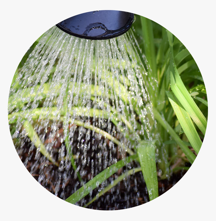 Restrictions D Eau Eure Et Loir, HD Png Download