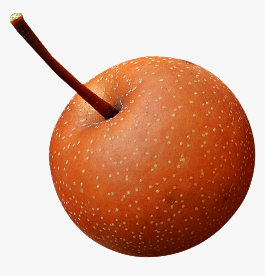Asian Pear Png, Transparent Png