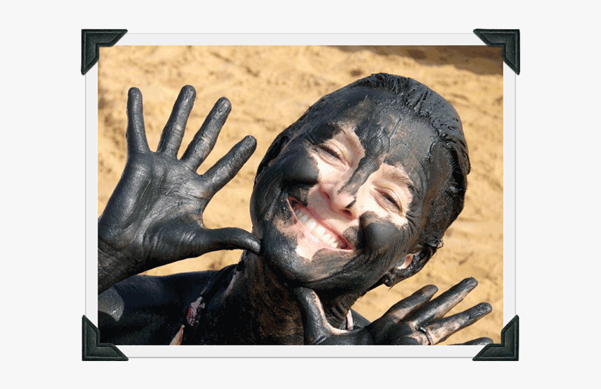 Hand, HD Png Download