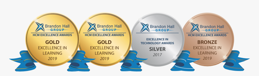Hcm Excellence Bronze Brandon Hall, HD Png Download