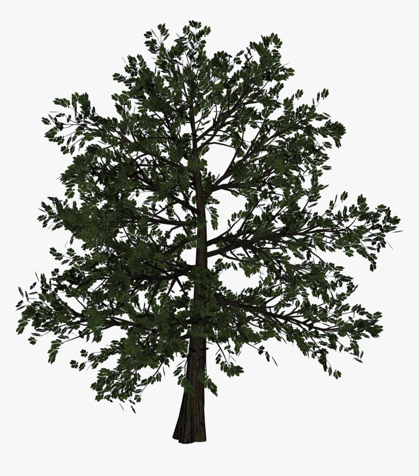 Tree Company Business Cards, HD Png Download