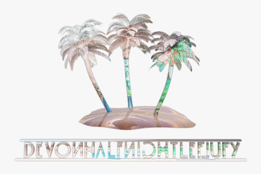 3d Palm Tree - Desert Palm, HD Png Download