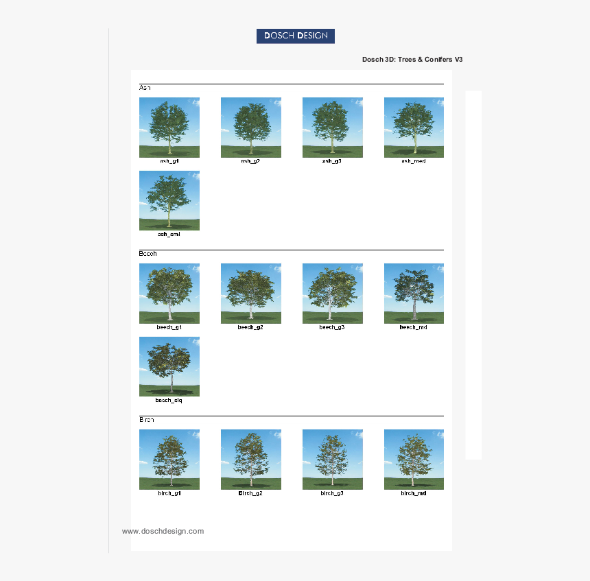 Tree, HD Png Download