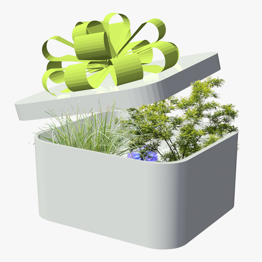 Flowerpot, HD Png Download