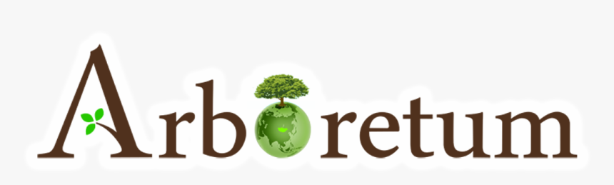 Tree, HD Png Download