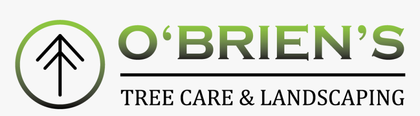Obriens Logo Large - Parallel, HD Png Download