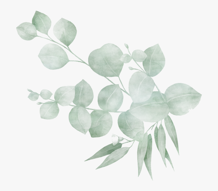 Twig, HD Png Download