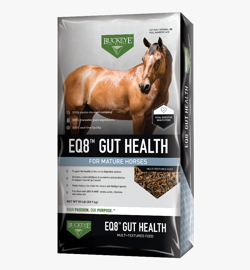 Canadian Mens Health Foundation, HD Png Download , Transparent Png