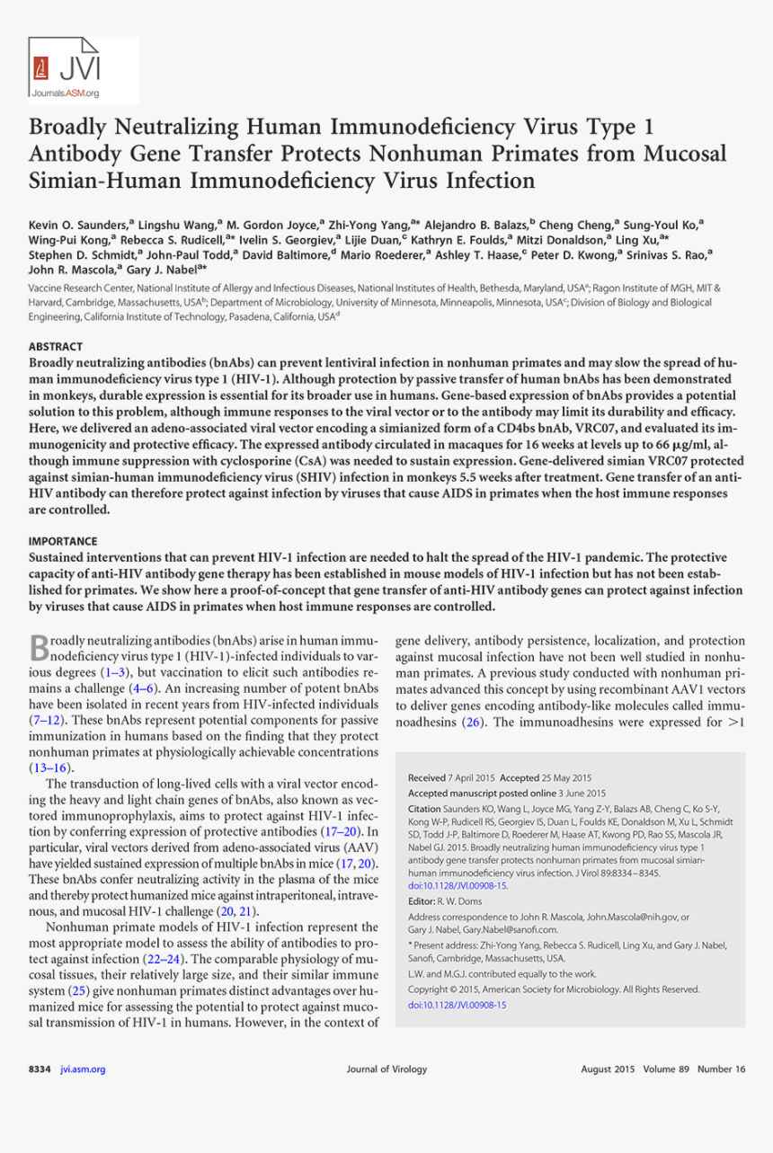 Document, HD Png Download