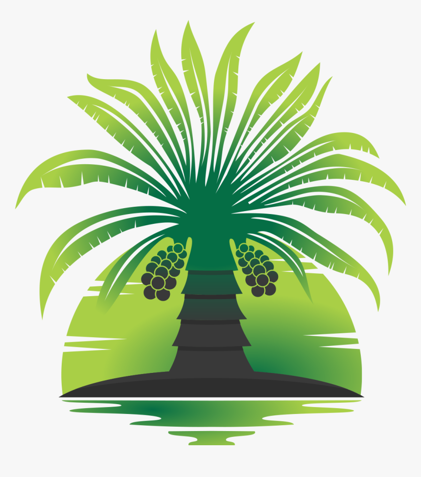 Date Palm Media - Illustration, HD Png Download