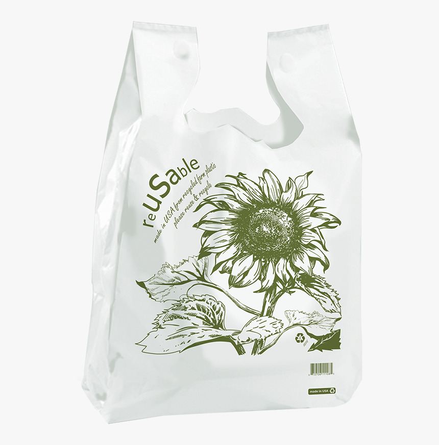 White Sunflower Png, Transparent Png