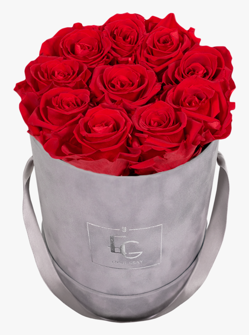 Emmie Gray, HD Png Download