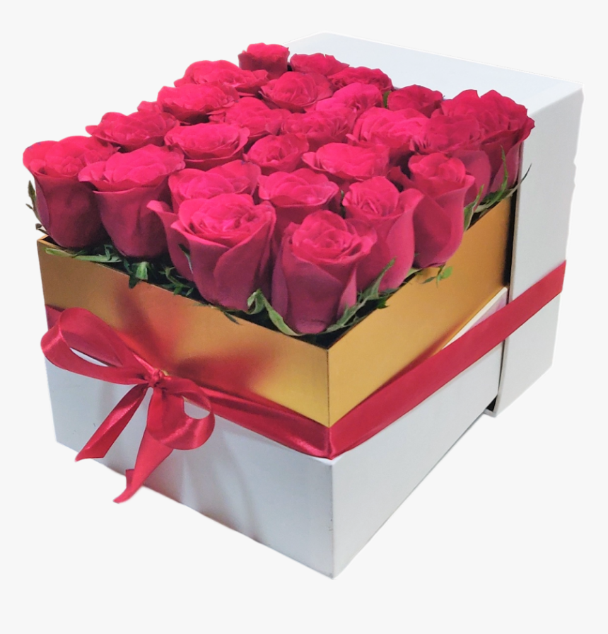 White Box 25 Red Roses Gift - Garden Roses, HD Png Download