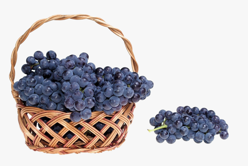Black Grapes Basket Clipart, HD Png Download