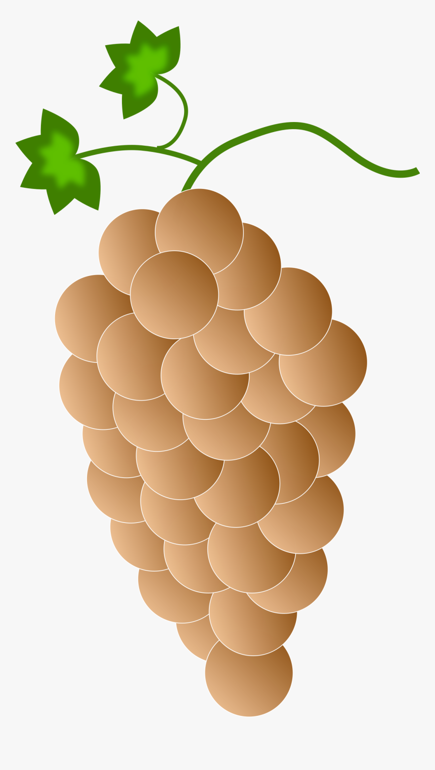 Orange Grapes Clip Arts - Purple Grapes, HD Png Download