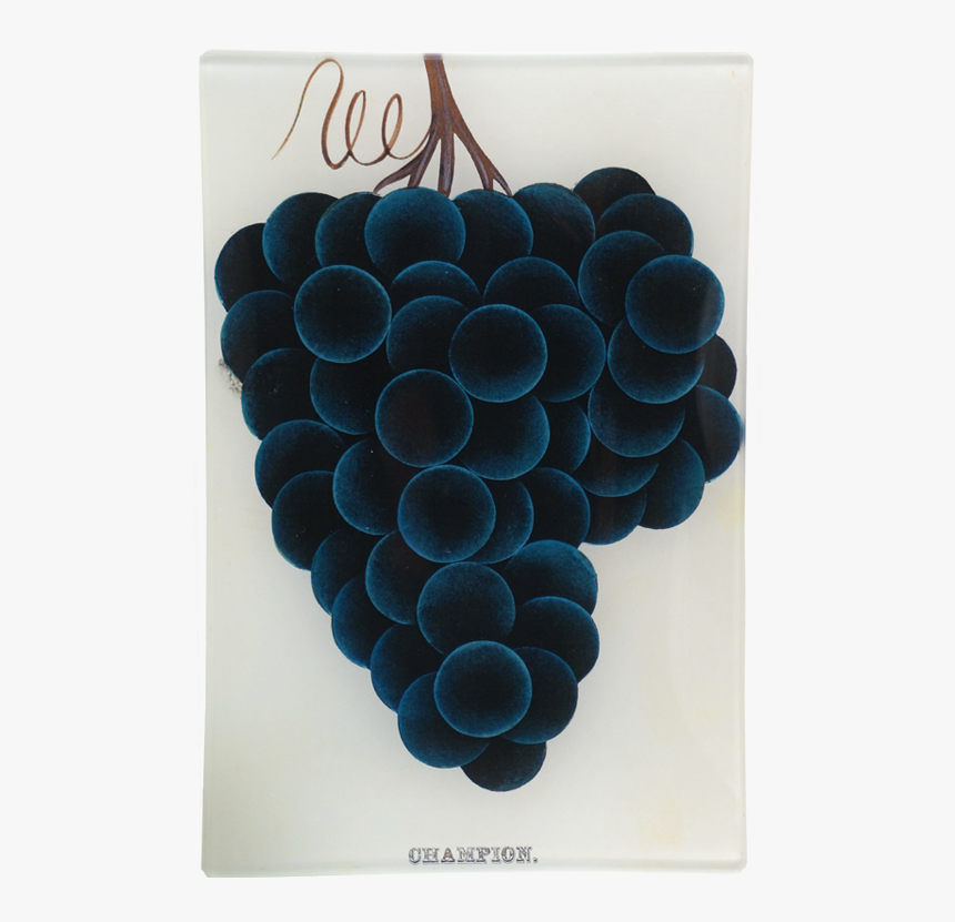 Seedless Fruit, HD Png Download