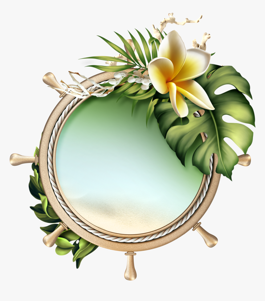 Back To Tropics Framed Wallpaper, Flower Clipart, Borders, HD Png Download
