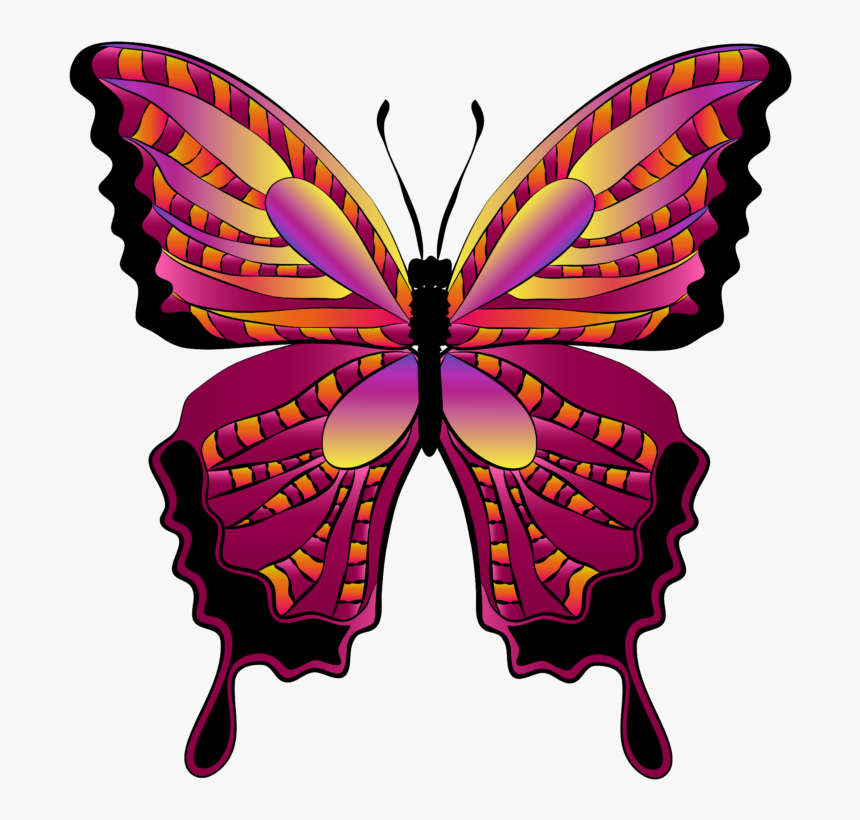 Transparent Flying Butterfly Clipart - Free Clipart Butterfly, HD Png Download