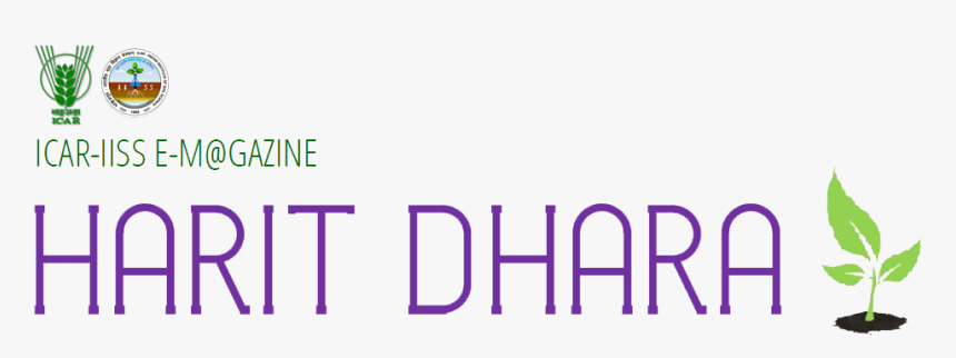 Sans Serif Semi Condensed, HD Png Download