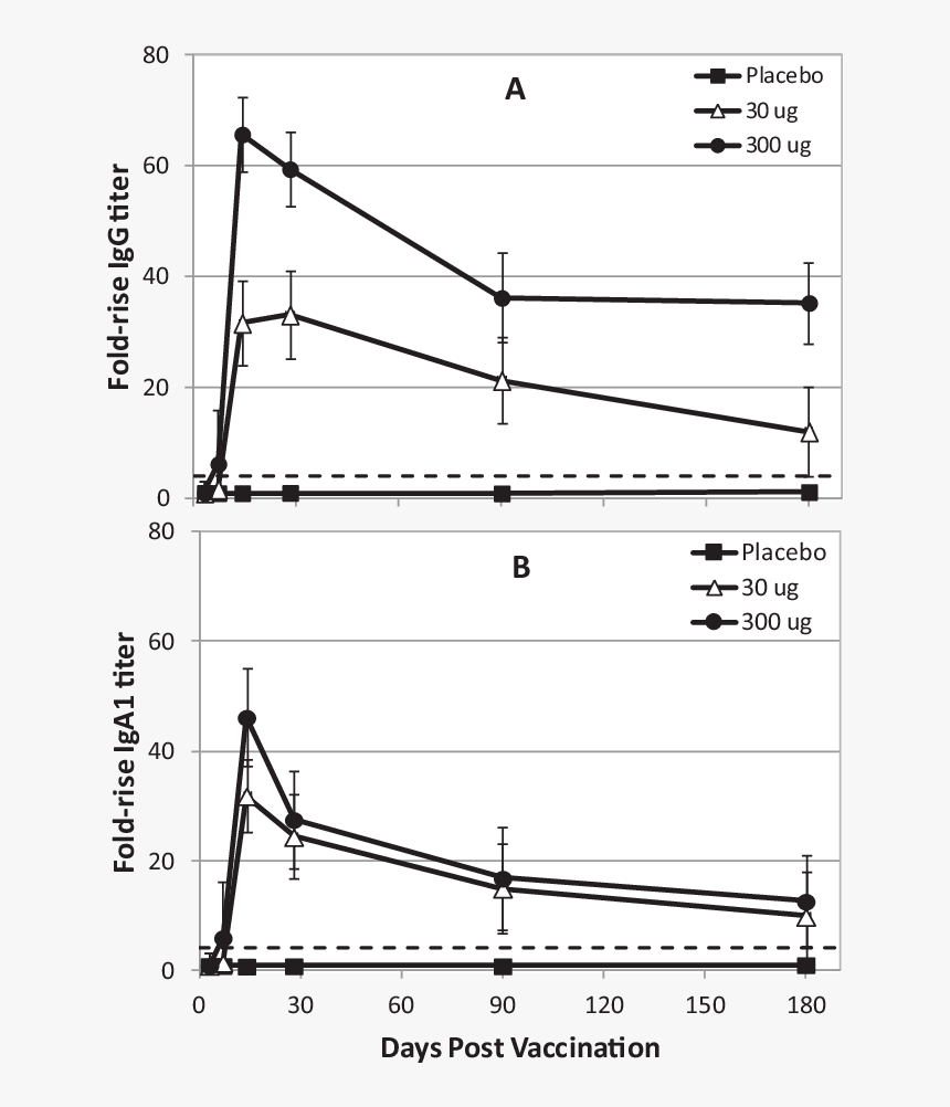 Diagram, HD Png Download