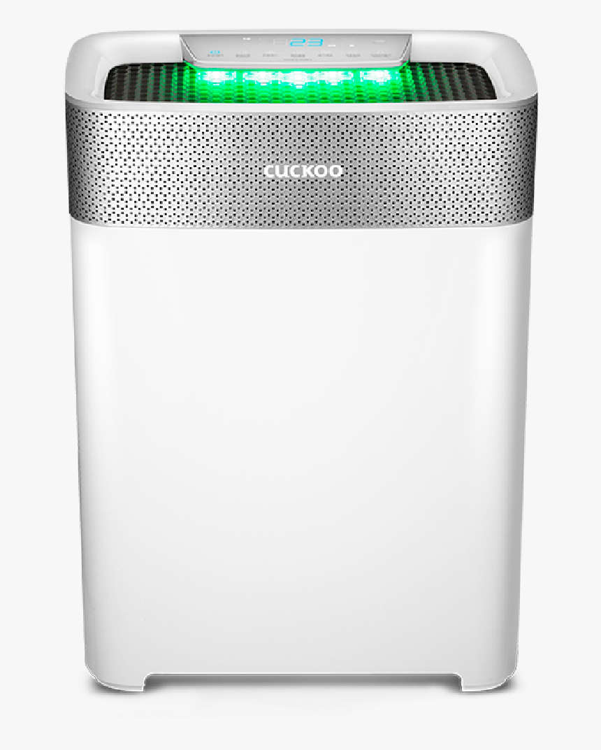 Model Image Png, Transparent Png