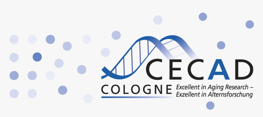 Cecad Cologne, HD Png Download