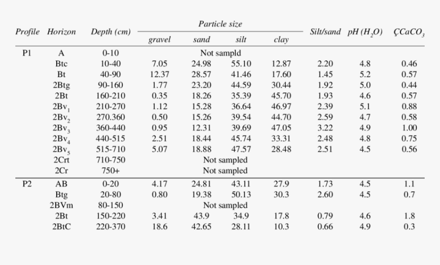 Maxillary Canine Mesiodistal Width, HD Png Download